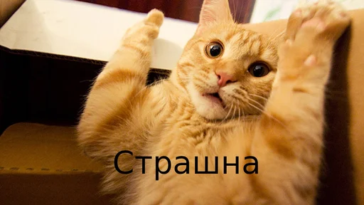 Стикер Fuck the system chat - 1