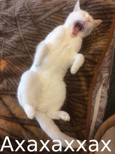 Стикер Fuck the system chat - 0