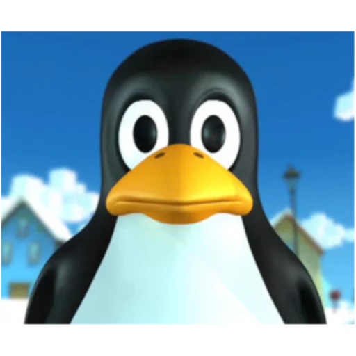 bird animal aquatic bird