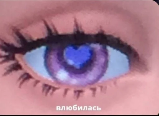 closeup eyelash iris