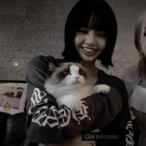 animal mammal person