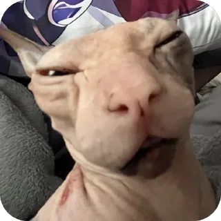 Sticker лиси💋 - 5