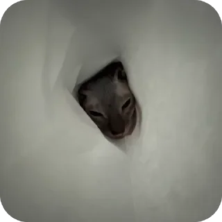 Sticker лиси💋 - 9