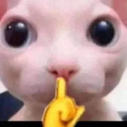 Стикер Lыsik` @yxblati :: @fStikBot - 10