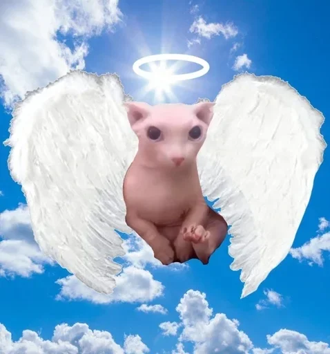 Стикер Lыsik` @yxblati :: @fStikBot - 5