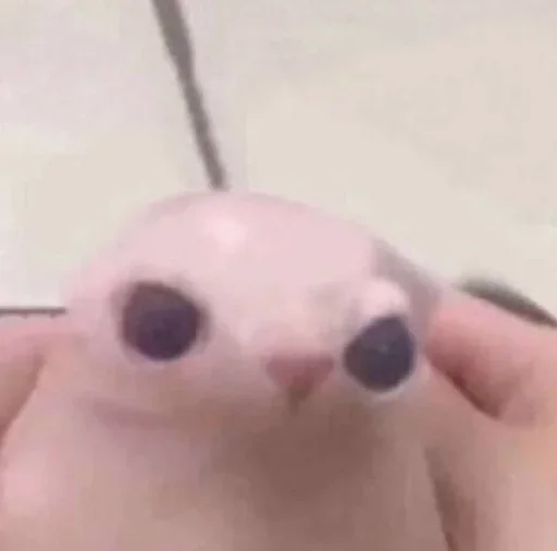 Стикер Lыsik` @yxblati :: @fStikBot - 2