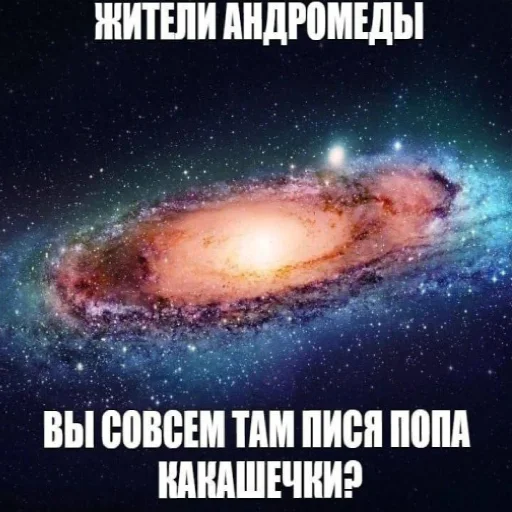Стикер лісонька залупка🥺 - 10