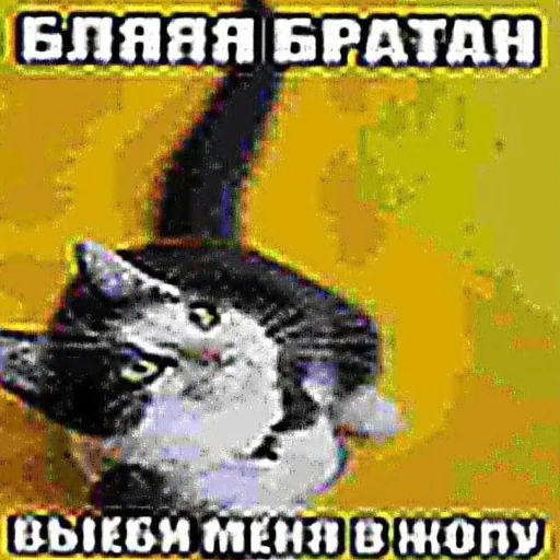 Стикер лісонька залупка🥺 - 7