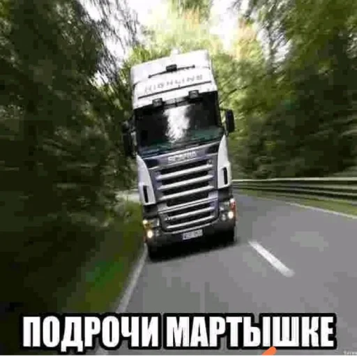 Стикер лісонька залупка🥺 - 1