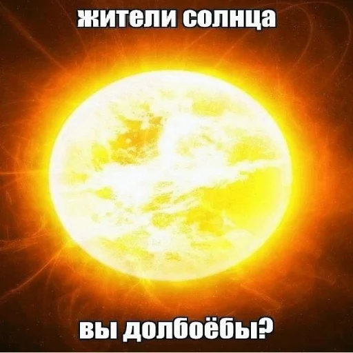 Стикер лісонька залупка🥺 - 0