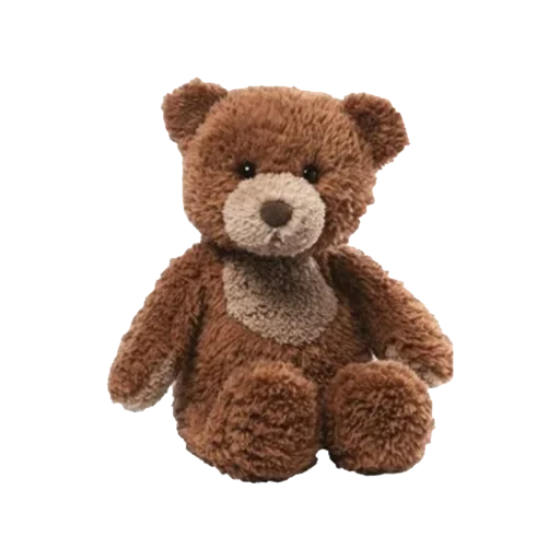 teddy clothing toy