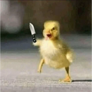 Стикер dindin - 10