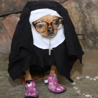 Стикер dindin - 9