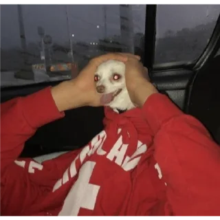 Стикер dindin - 3