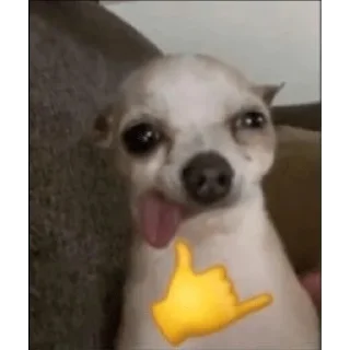 Стикер dindin - 0