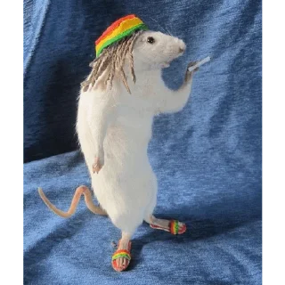 Стикер dindin - 4