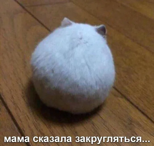 Стикер littlemouse_stickers - 1