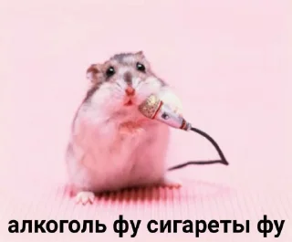 Sticker Мышиные мордахи 🐭 - 11