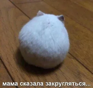 Sticker Мышиные мордахи 🐭 - 0