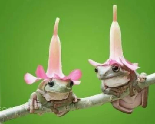 розовый игрушка мультфильм