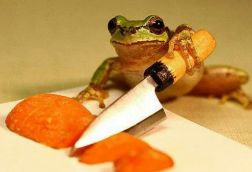 амфибия настоящая лягушка комнатный