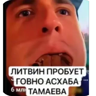 Sticker ЛИТВИН @MoiStikiBot - 7