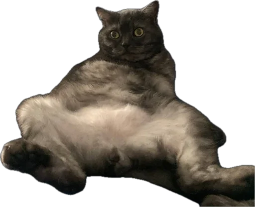 Стикер livelivelivelive - 1