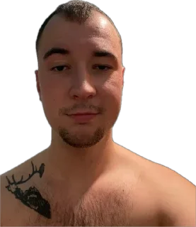 Sticker justalive - 3