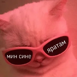 Sticker Lovushka Jokera - 10