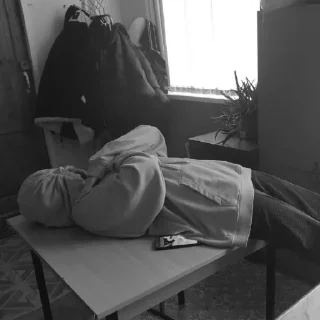 Sticker поля лиза даша - 5