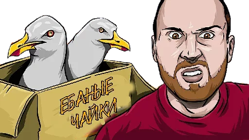 bird cartoon drawing