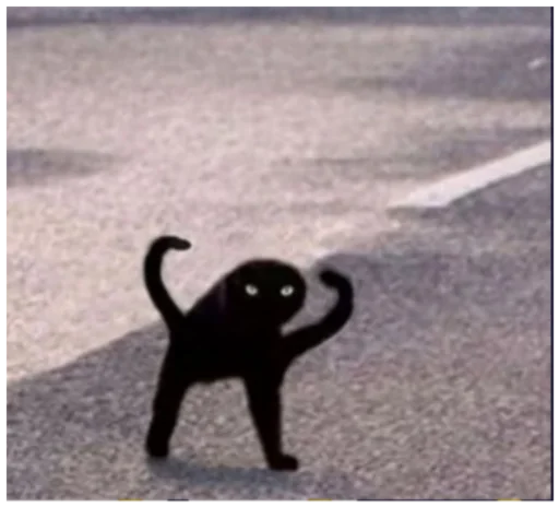 mammal animal outdoor