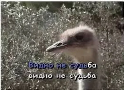 Sticker ljoshenkyni - 1