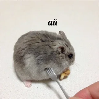 Sticker Льоша фігні не порадить - 10