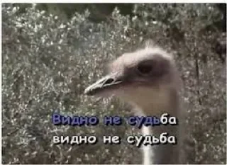 Sticker Льоша фігні не порадить - 0