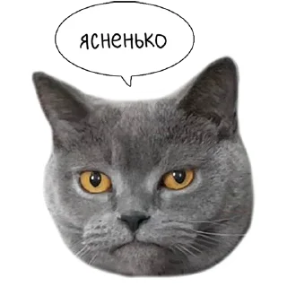 Sticker Laksheri_realkotaksheri - 2