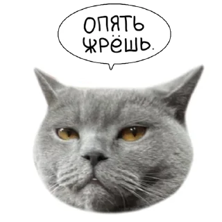 Sticker Laksheri_realkotaksheri - 4