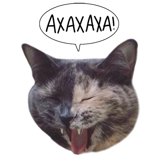 Sticker Laksheri_realkotaksheri - 8