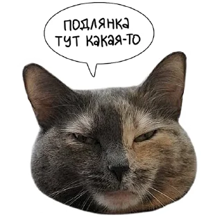 Sticker Laksheri_realkotaksheri - 10