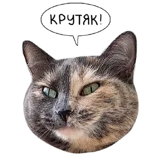 Sticker Laksheri_realkotaksheri - 6