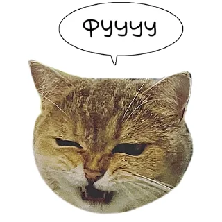 Sticker Laksheri_realkotaksheri - 0