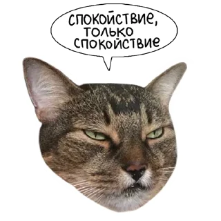 Sticker Laksheri_realkotaksheri - 5