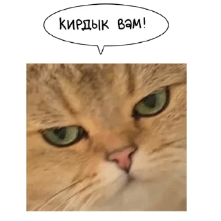 Sticker Laksheri_realkotaksheri - 11