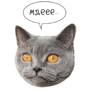 Sticker Laksheri_realkotaksheri - 9