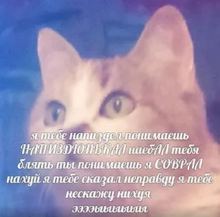 Стикер лисс как муд - 9