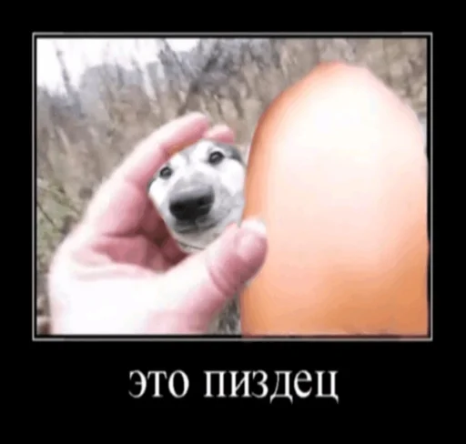 Sticker снюс - 0