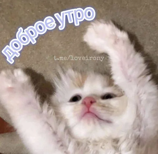 Sticker lloveyou05_by_MoiStikiBot - 1