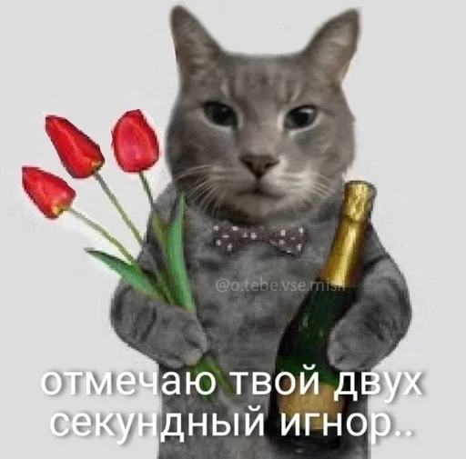 Стикер lmaostikers :: @fStikBot - 6