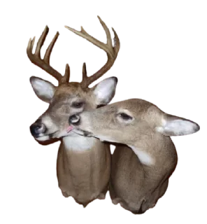 Sticker Lmfao pack - 10