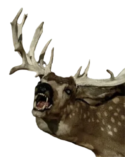 Sticker Lmfao pack - 5